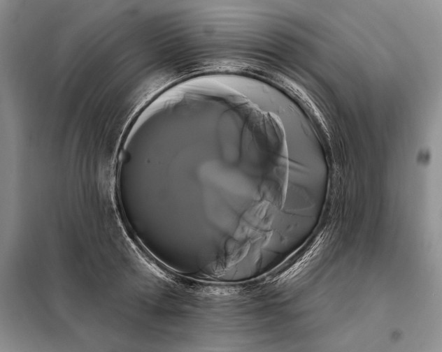 X0000098130802200805011320