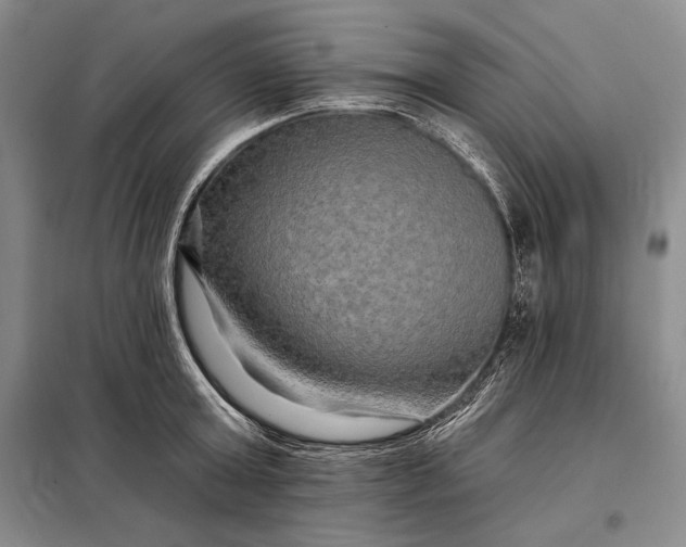 X0000098130803200805011320