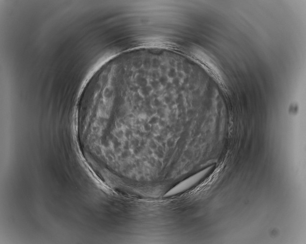 X0000098130804200805011320