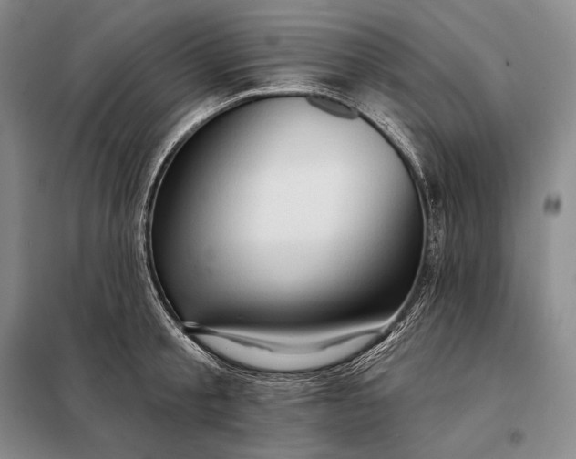 X0000098130805200805011320