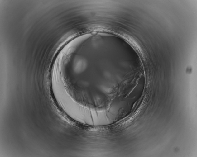 X0000098130806200805011320