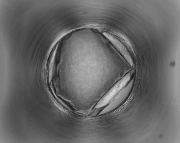 X0000098130808200805011320