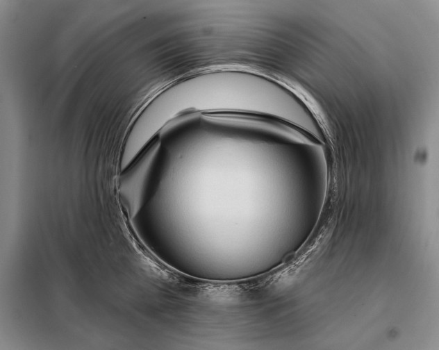 X0000098130809200805011320