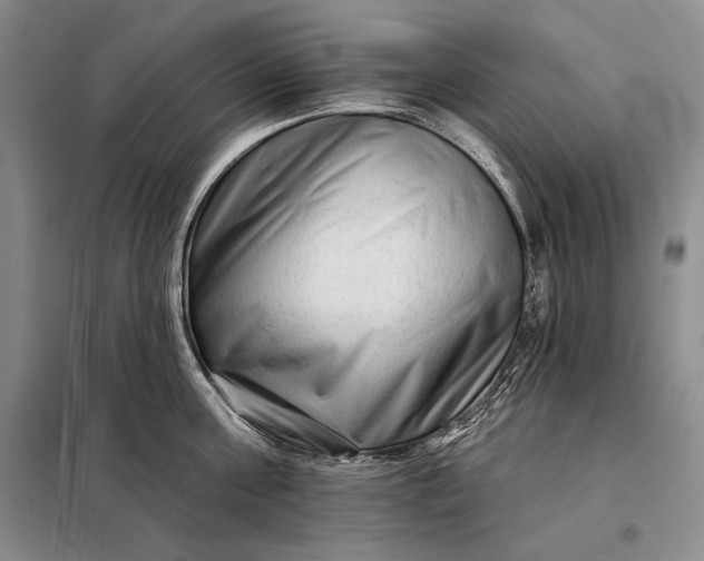 X0000098130811200805011320