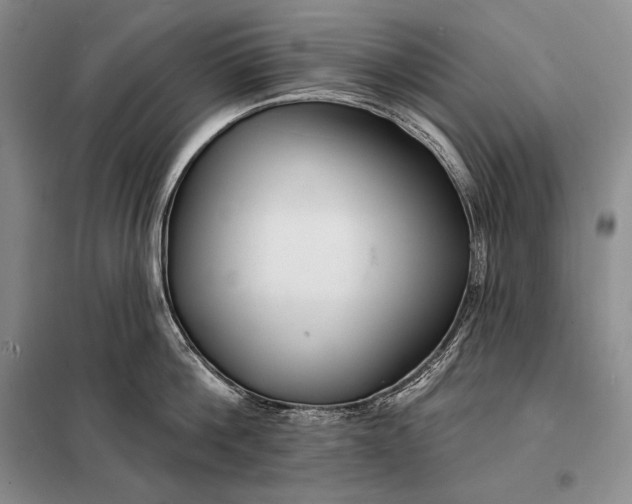 X0000098130812200805011320