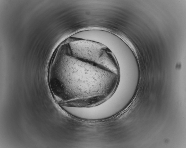 X0000098130813200805011320