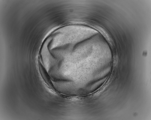 X0000098130814200805011320