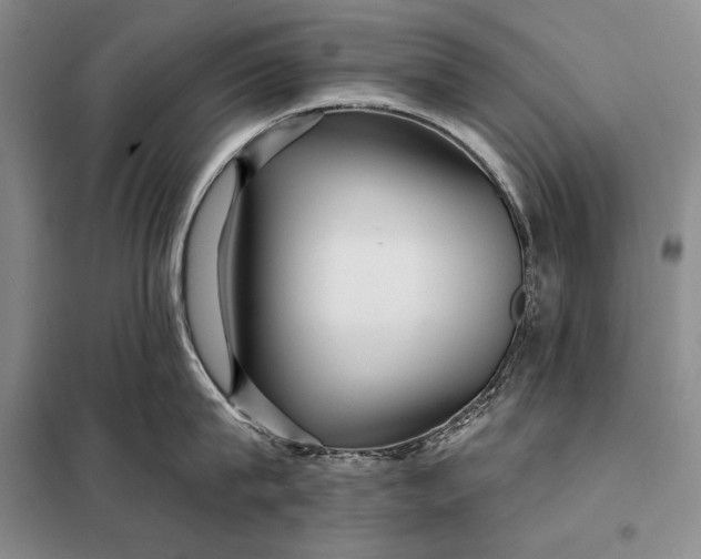 X0000098130815200805011320