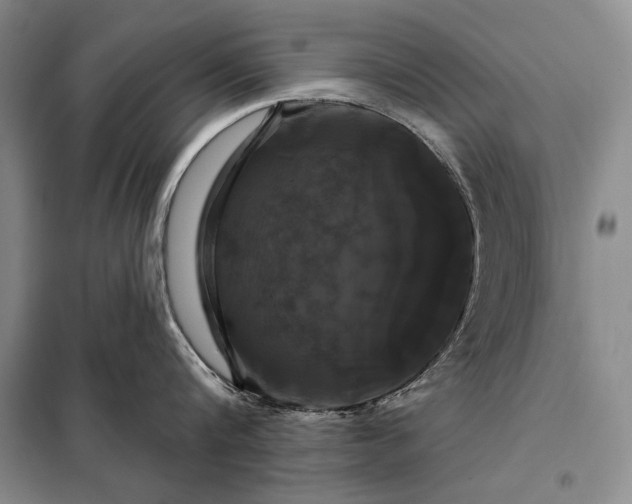X0000098130816200805011320