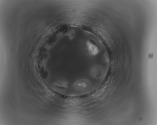 X0000098130817200805011319