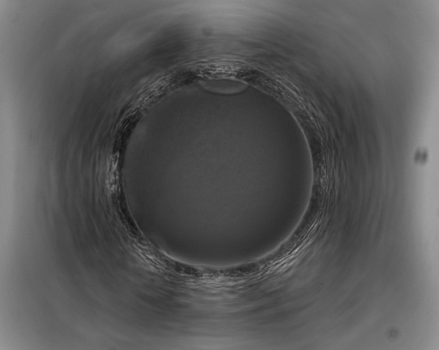 X0000098130818200805011319