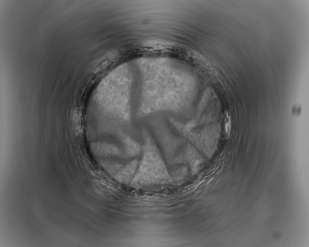 X0000098130819200805011319