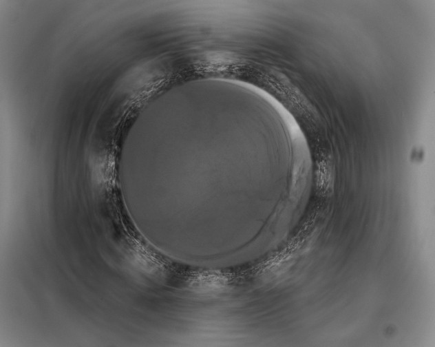 X0000098130820200805011319