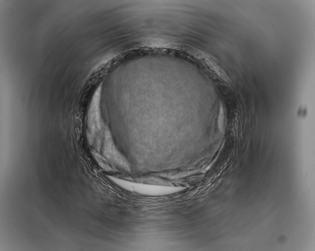 X0000098130821200805011319