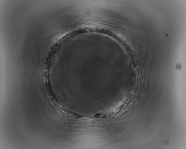 X0000098130822200805011319