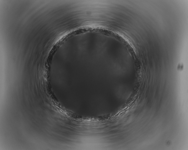 X0000098130823200805011319