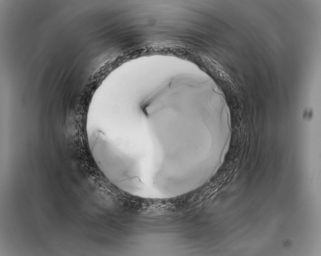 X0000098130824200805011319