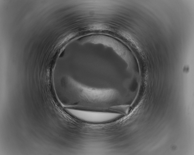 X0000098130825200805011319