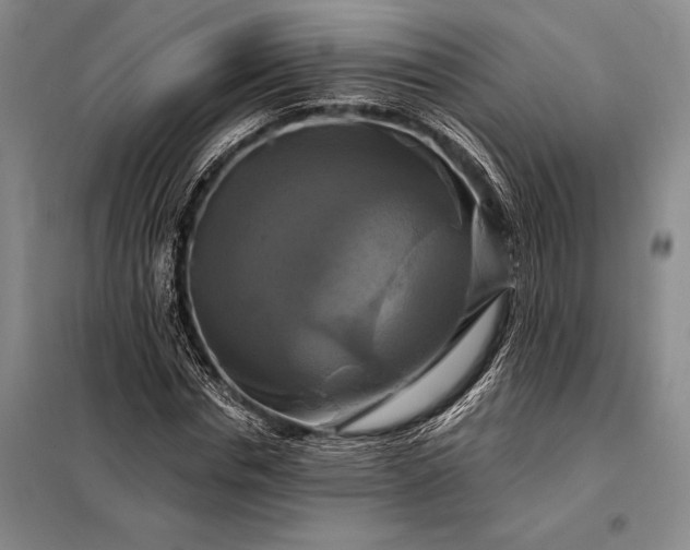 X0000098130826200805011319