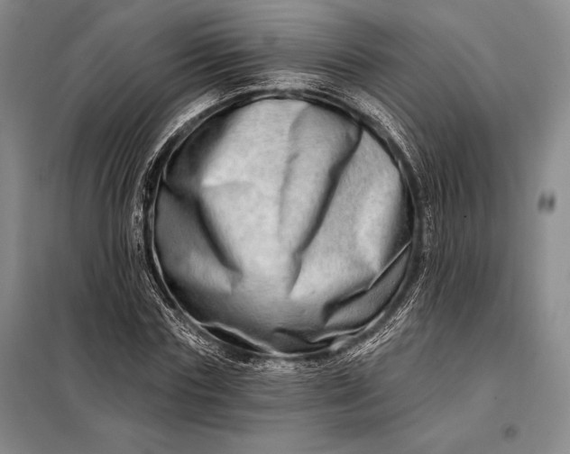 X0000098130827200805011319