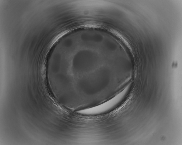 X0000098130829200805011319