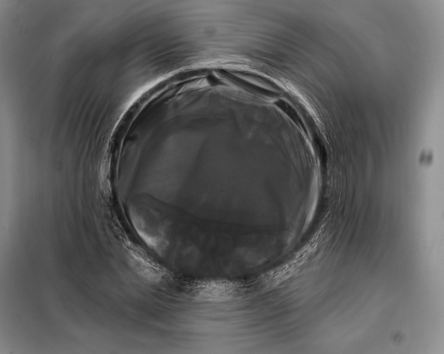 X0000098130830200805011319