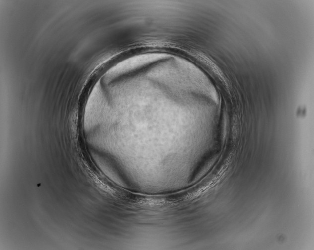 X0000098130831200805011319