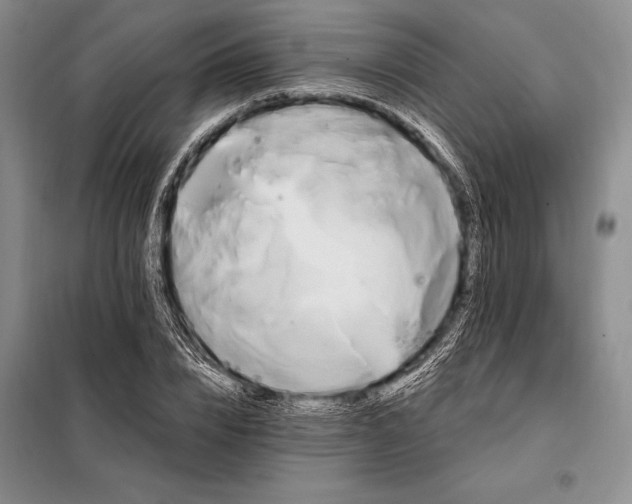 X0000098130832200805011319