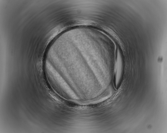 X0000098130834200805011319