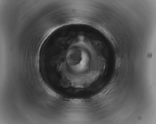 X0000098130836200805011319
