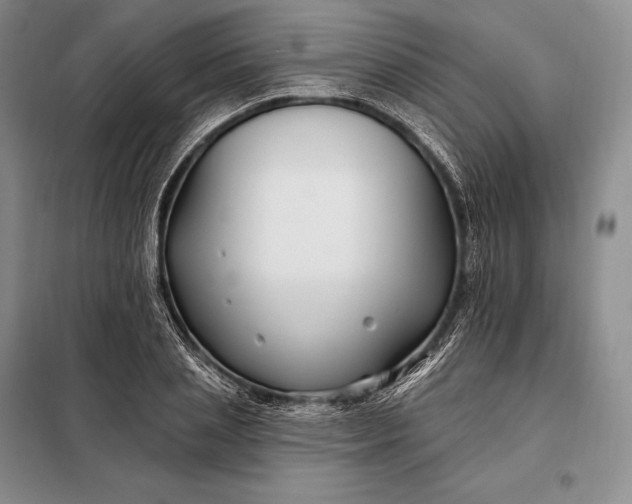 X0000098130837200805011319