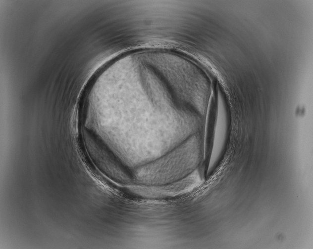 X0000098130838200805011319
