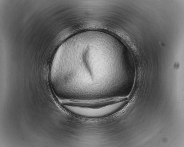X0000098130841200805011319