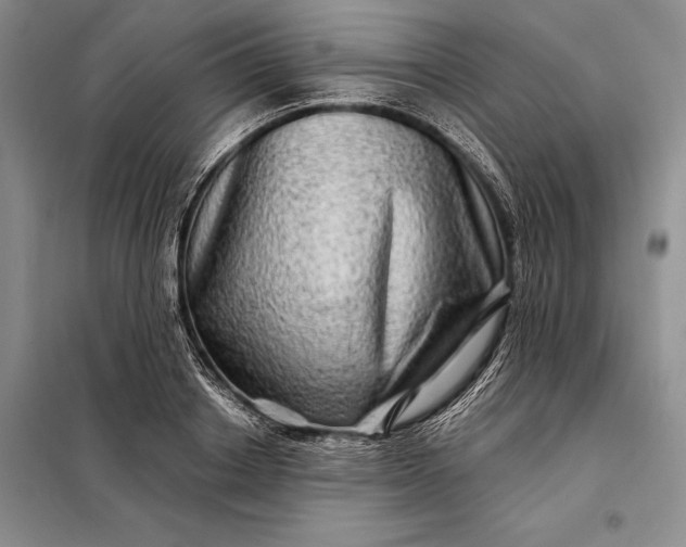 X0000098130842200805011319
