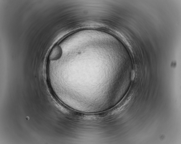 X0000098130843200805011319