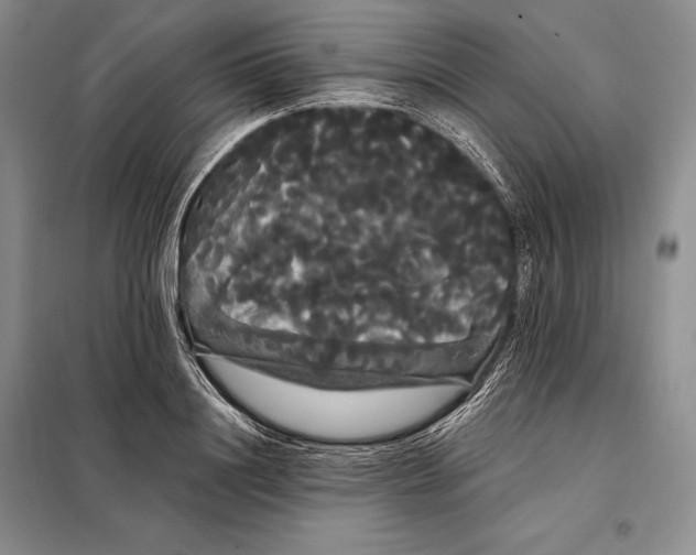 X0000098130844200805011319