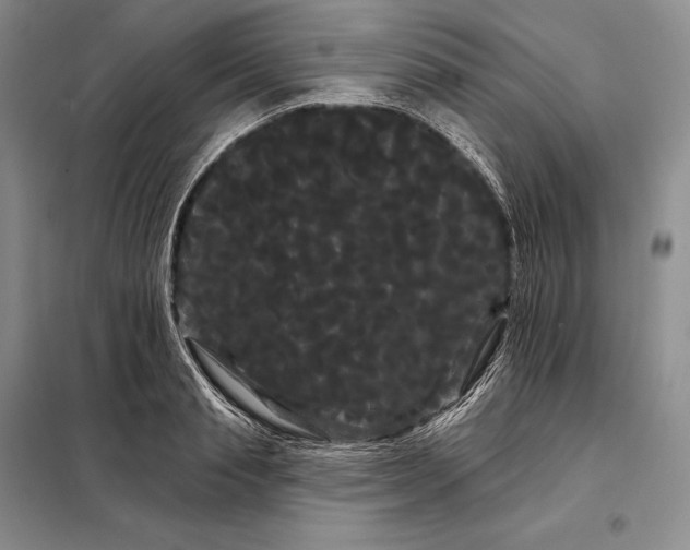 X0000098130845200805011319