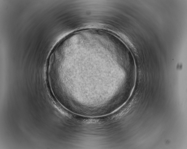 X0000098130846200805011319
