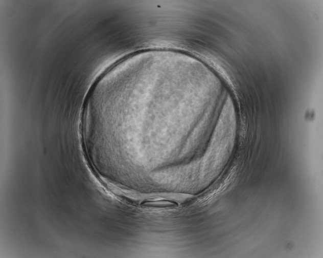 X0000098130847200805011319