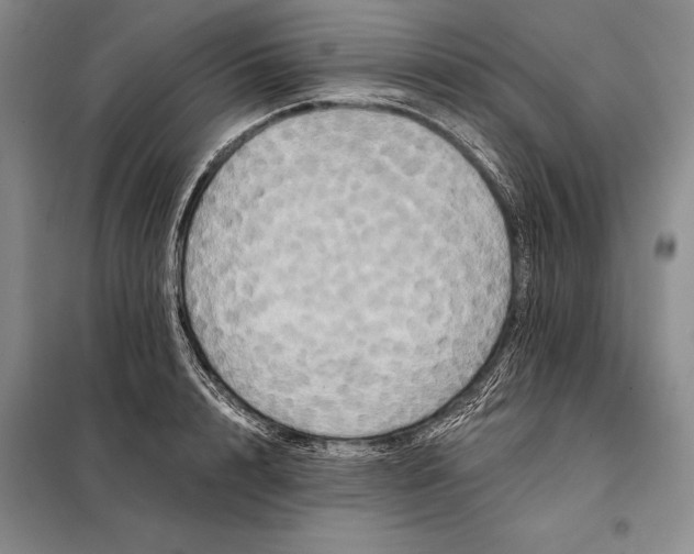 X0000098130848200805011319