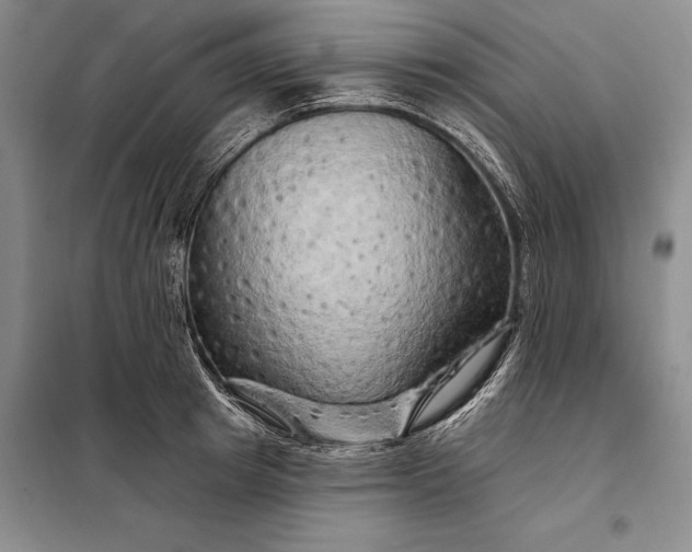 X0000098130849200805011320