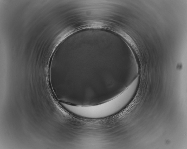 X0000098130850200805011320