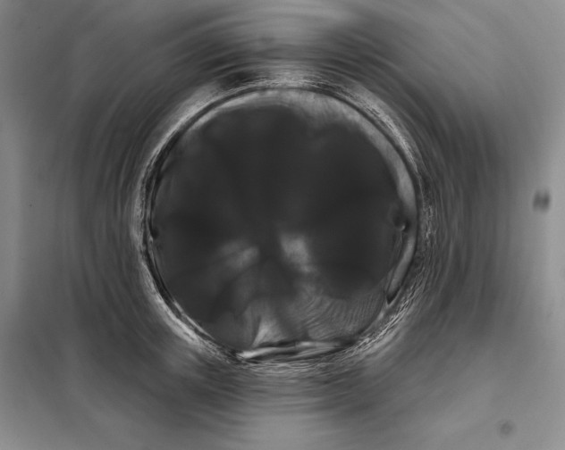 X0000098130851200805011320