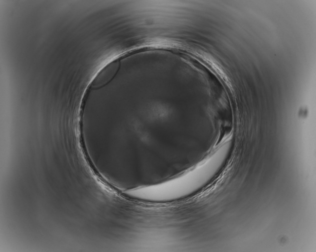 X0000098130853200805011320