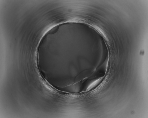 X0000098130854200805011320