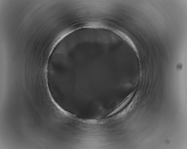 X0000098130855200805011320