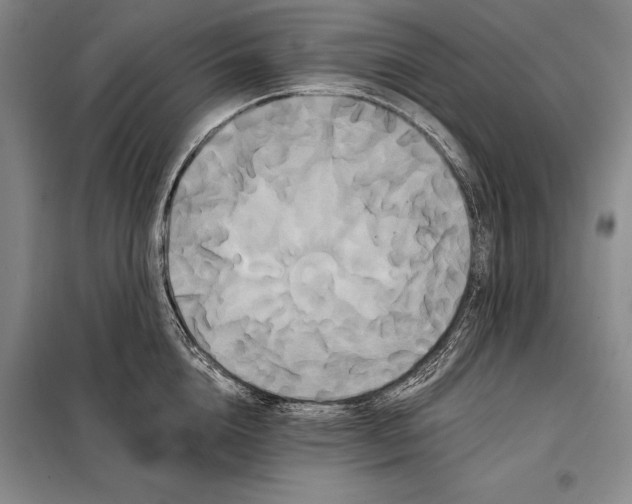 X0000098130856200805011320