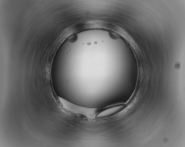 X0000098130857200805011320