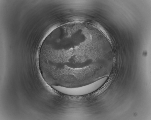 X0000098130859200805011320