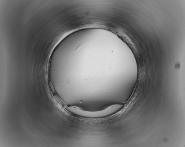 X0000098130860200805011320